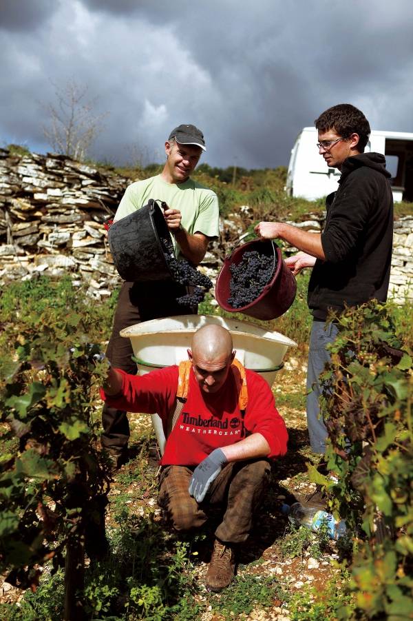 薄若莱的收获与守望_三联生活周刊