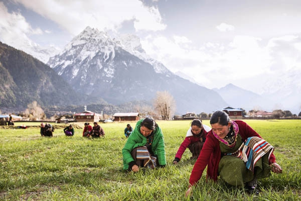 西藏林芝:民艺的微光_三联生活周刊