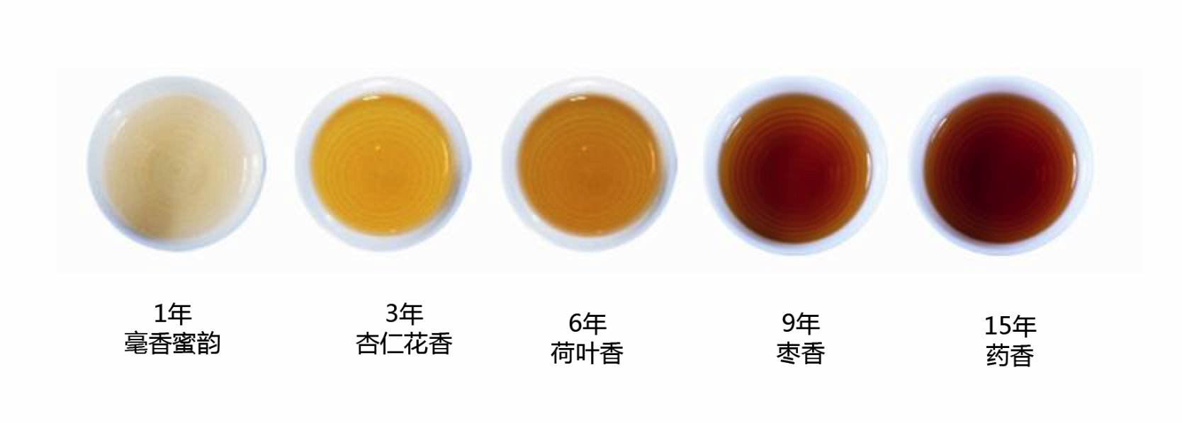 东海之滨的白茶故事_三联生活周刊