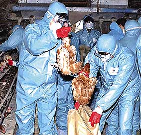 动物样本什么价格2003年SARS病毒排查溯源记-上海聚慕医疗器械有限公司