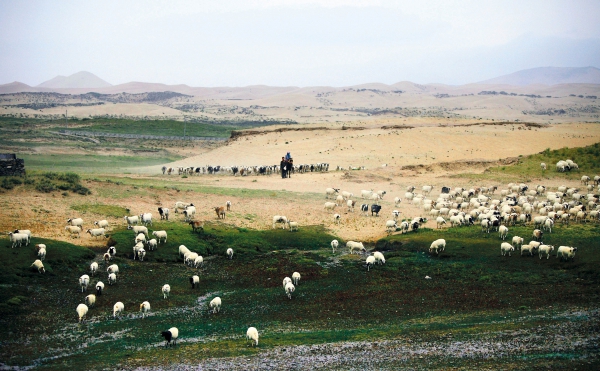 争议之下的青海都兰国际狩猎场4