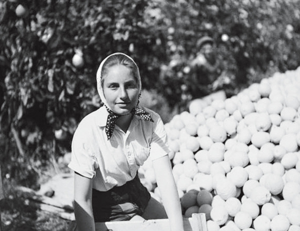 基布兹果园里的犹太女人(摄于1944年)这样的半神才不会采纳来自