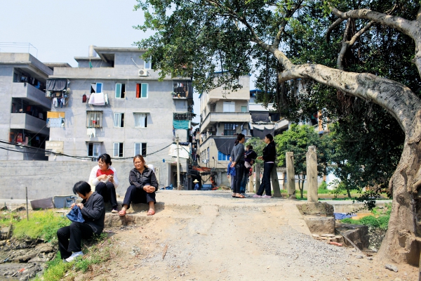 21日早上开机的陈信滔才知道卞礼忠被打死,自己的车全都被徐承平转移