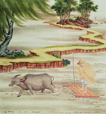 中原农业与文明崛起2