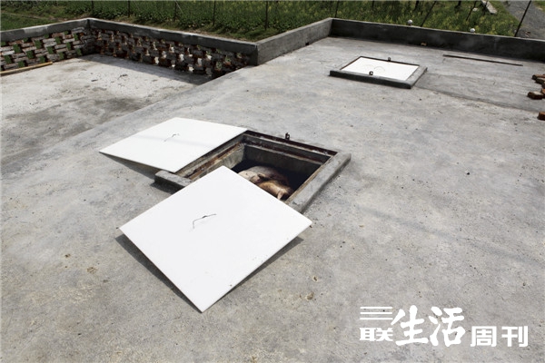 “黄浦江浮猪”事件:散户养殖积弊的集中爆发(3)_三联生活周刊