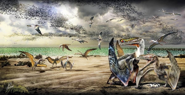 赵闯:重述恐龙故事(2)